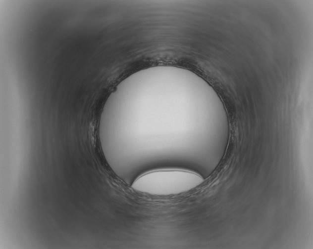 X0000112891010200908211026