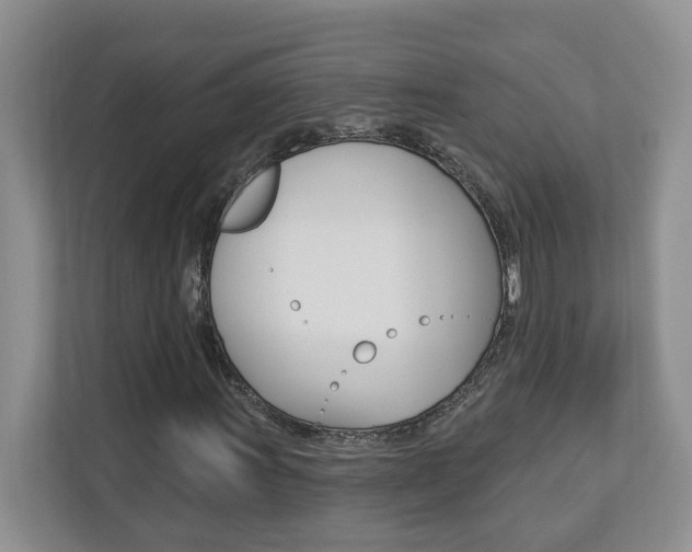 X0000112891011200908211026