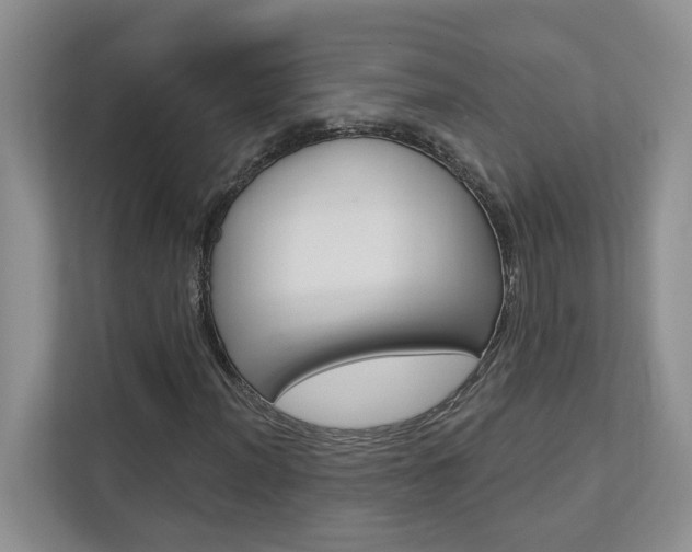 X0000112891012200908211026