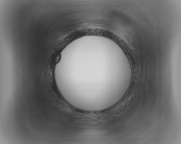 X0000112891013200908211026