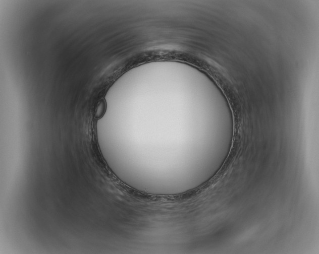 X0000112891014200908211026