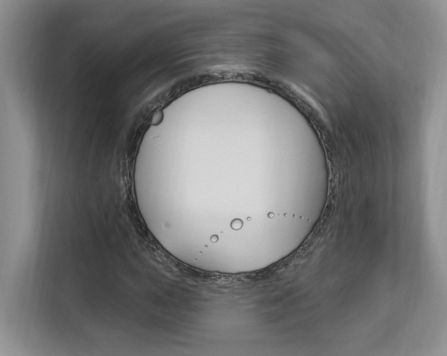 X0000112891015200908211026