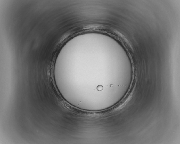 X0000112891017200908211026