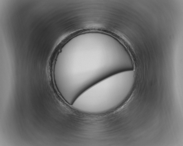 X0000112891022200908211026