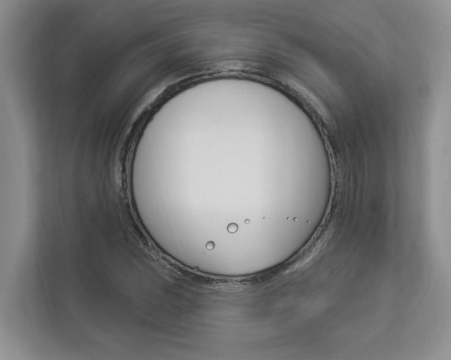 X0000112891023200908211026