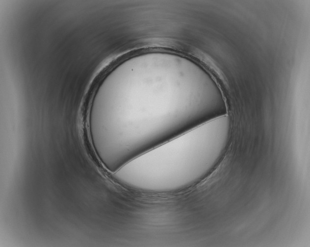 X0000112891024200908211026