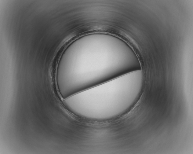 X0000112891026200908211026