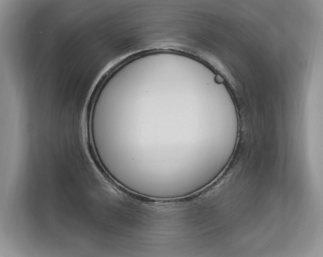 X0000112891032200908211026