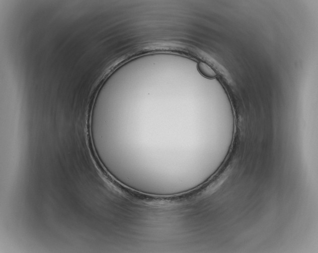 X0000112891033200908211026