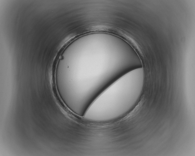 X0000112891034200908211026