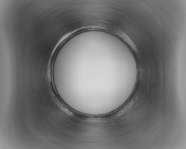 X0000112891036200908211026