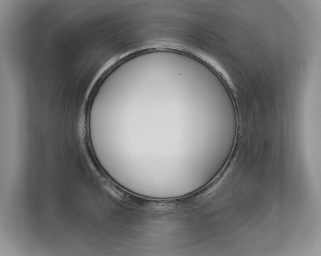 X0000112891040200908211026