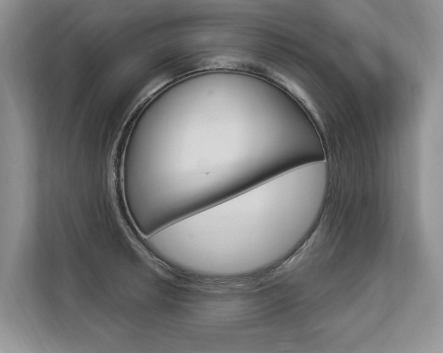 X0000112891042200908211026