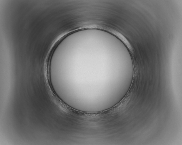 X0000112891051200908211026