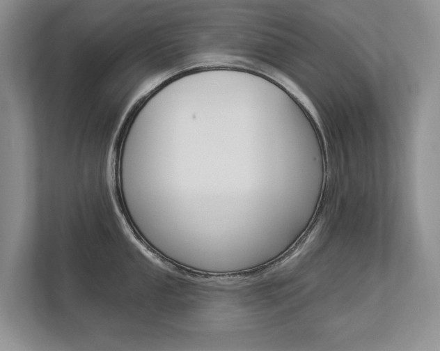 X0000112891053200908211026