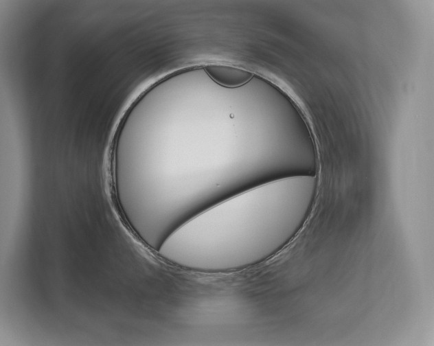 X0000112891056200908211026