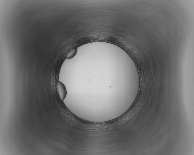 X0000112891058200908211026