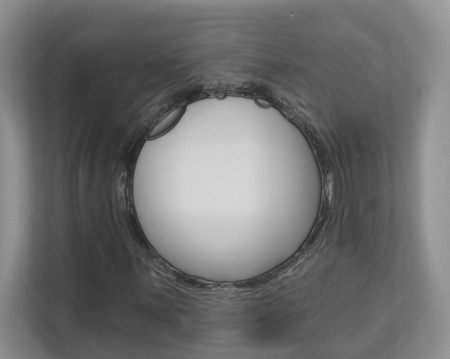X0000112891059200908211026