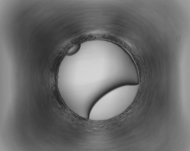 X0000112891062200908211026