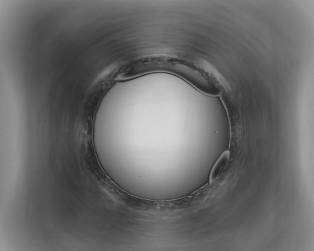 X0000112891064200908211026