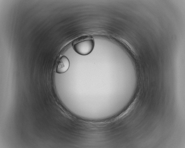 X0000112891065200908211026