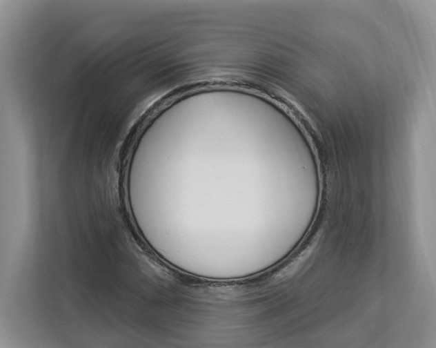 X0000112891066200908211026