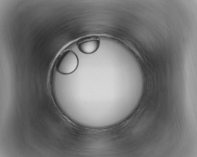 X0000112891068200908211025