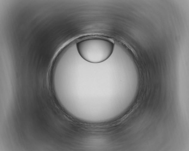X0000112891069200908211025
