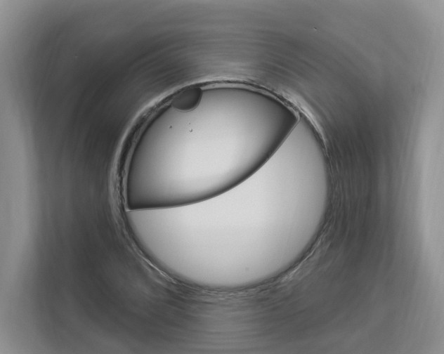 X0000112891072200908211025