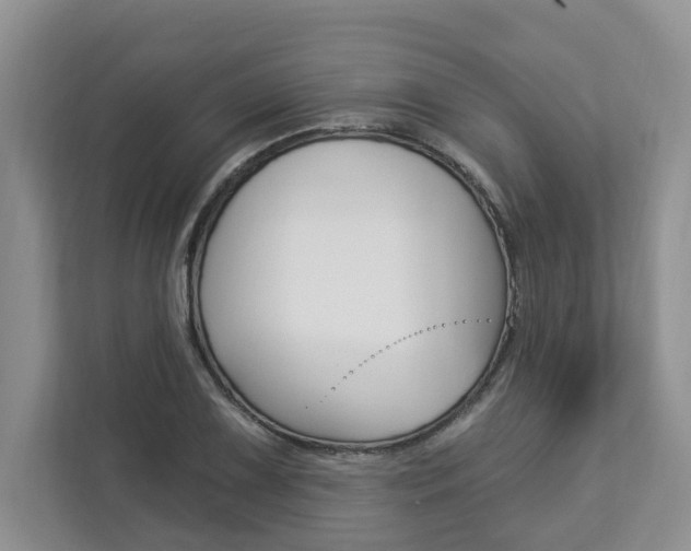 X0000112891075200908211025