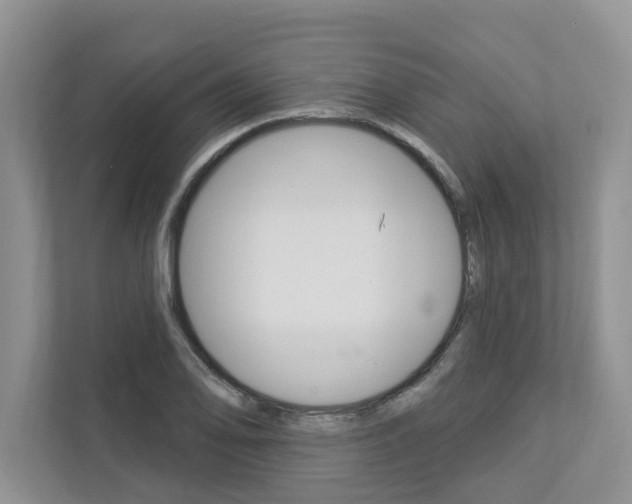X0000112891078200908211025