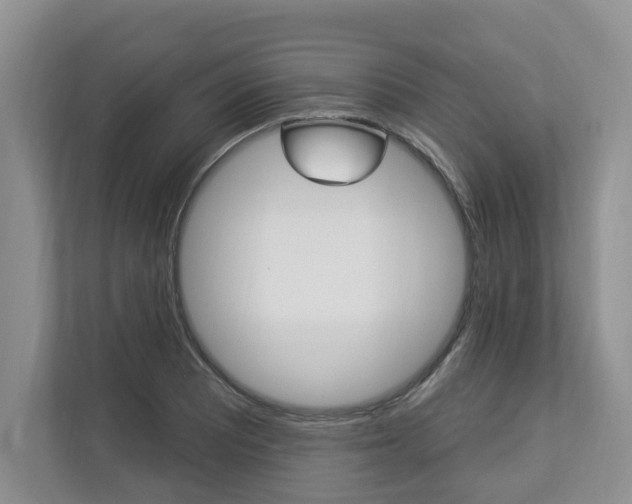 X0000112891081200908211025