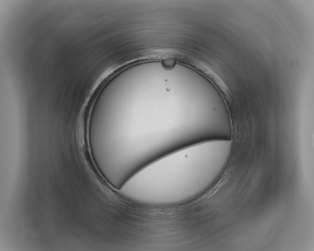 X0000112891083200908211025