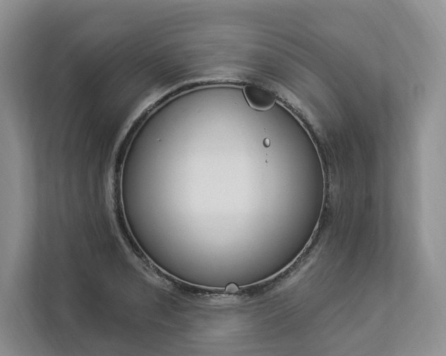 X0000112891085200908211025