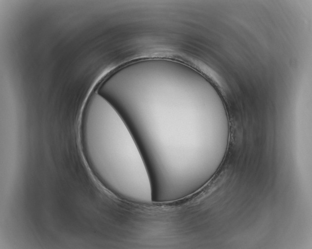 X0000112891087200908211025
