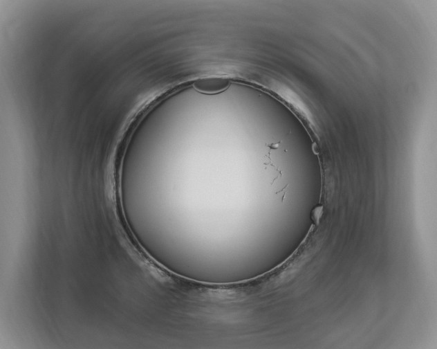 X0000112891088200908211025
