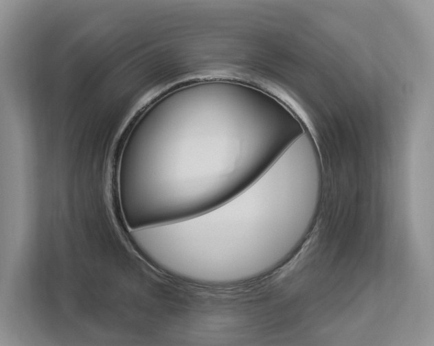 X0000112891093200908211025