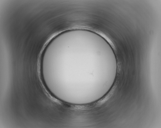 X0000112891094200908211025