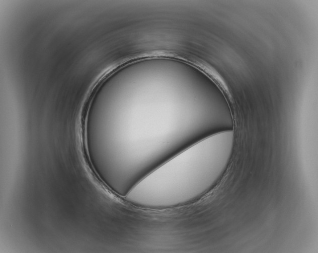 X0000112891096200908211025