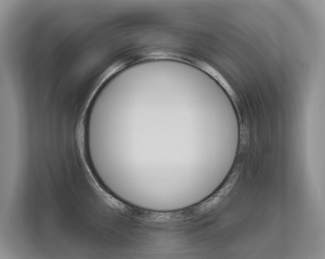 X0000112891098200908211025