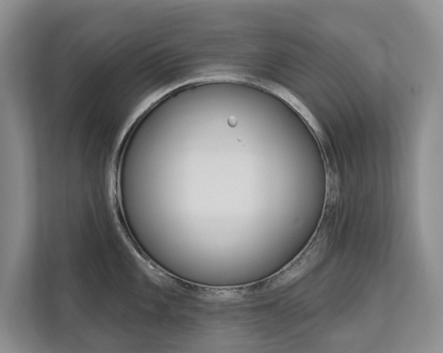 X0000112891101200908211025