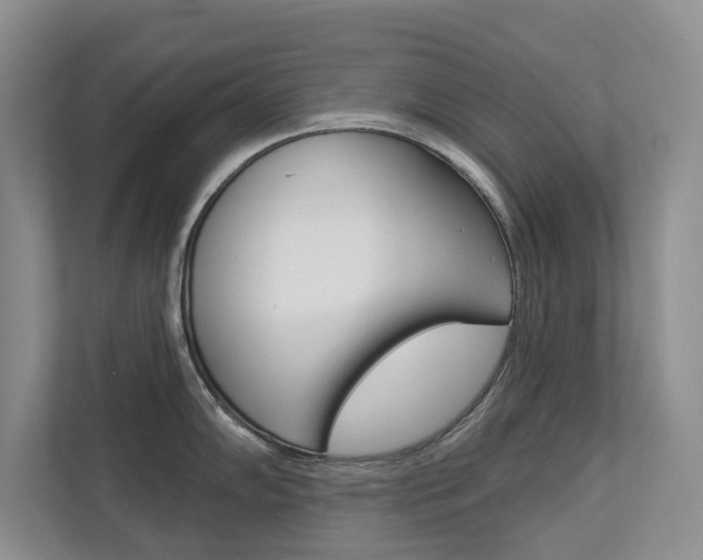 X0000112891102200908211025