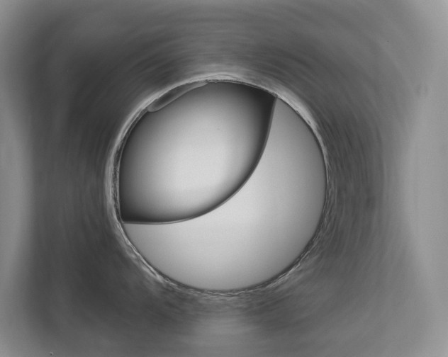 X0000112891104200908211025