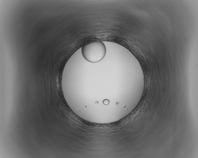 X0000112891106200908211024