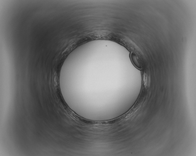 X0000112891107200908211024