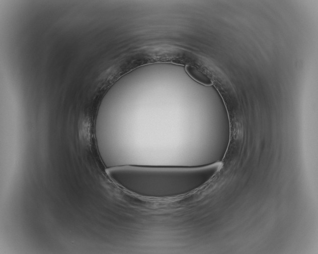 X0000112891108200908211024