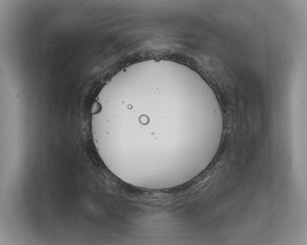 X0000112891109200908211024