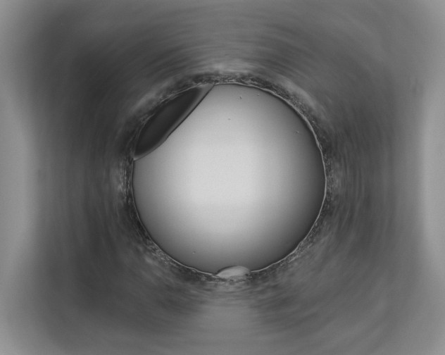 X0000112891110200908211024