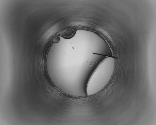 X0000112891111200908211024
