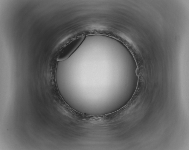 X0000112891112200908211024